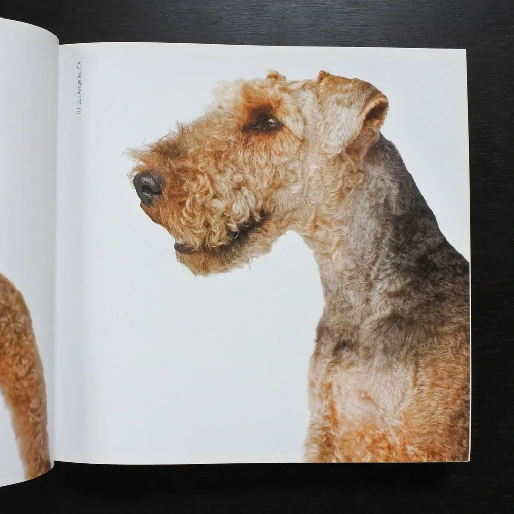 Rover Bow Wow Edition by Andrew Grant Rescue Dog Photography Book